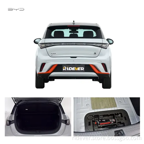 Ridever Byd Dolphin Low Price 80km/H Lithium Battery Chinese Mini Small Electric Cars Auto for Sale